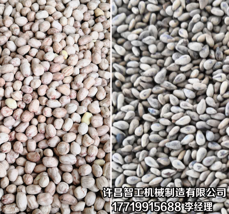 炒芝麻機